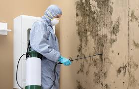 Best Residential Mold Inspection & Testing  in Selden, NY